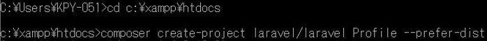 コマンドプロンプトを開きhtdocsフォルダで下記コマンドを入力しProfileプロジェクトを作成します