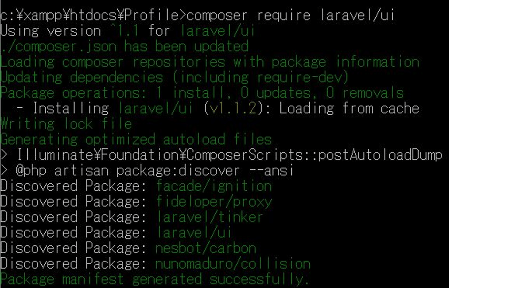 Package manifest generated successfully.と表示されれば問題なくインストール完了です